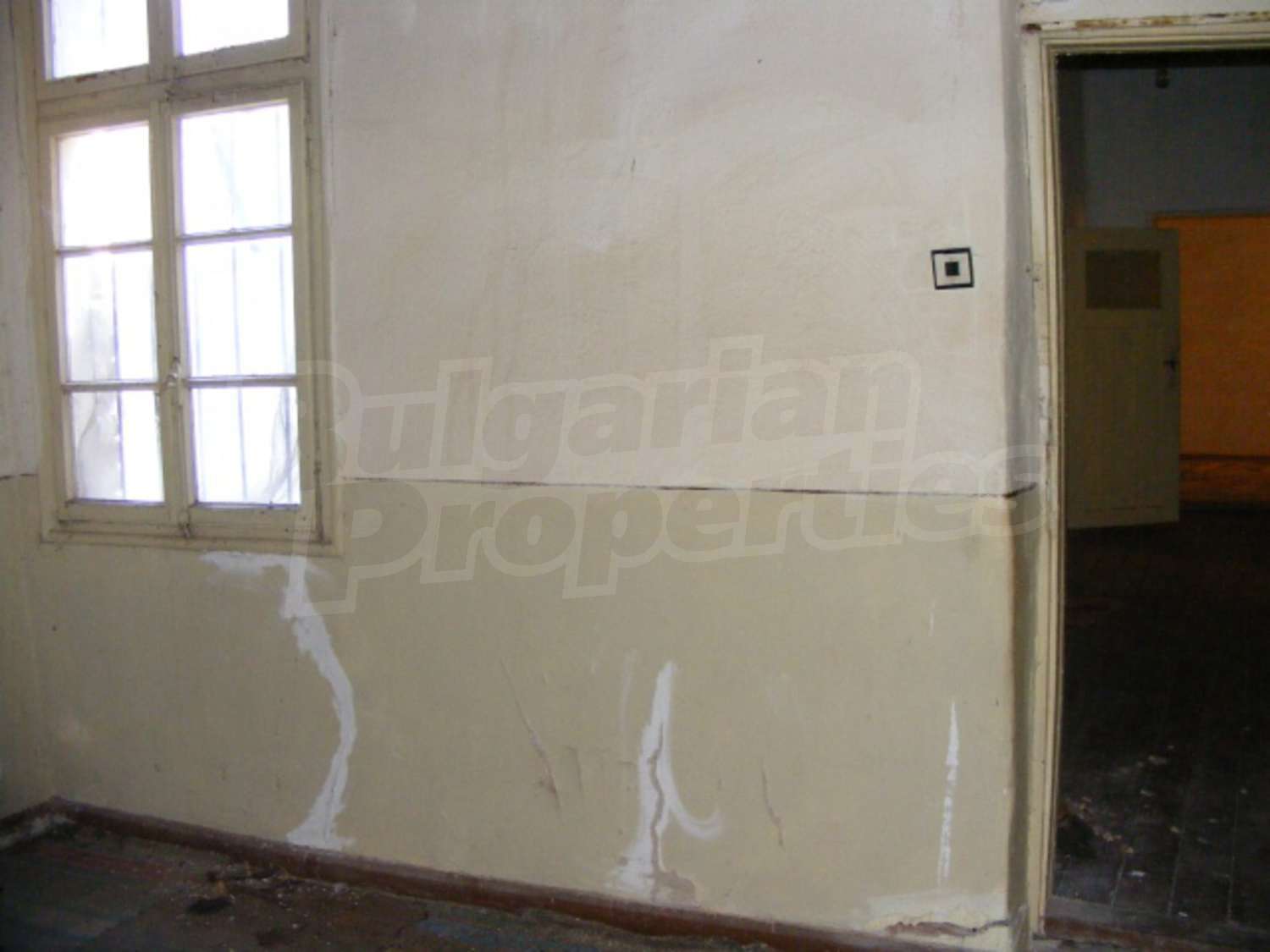 Gallery Picture 20