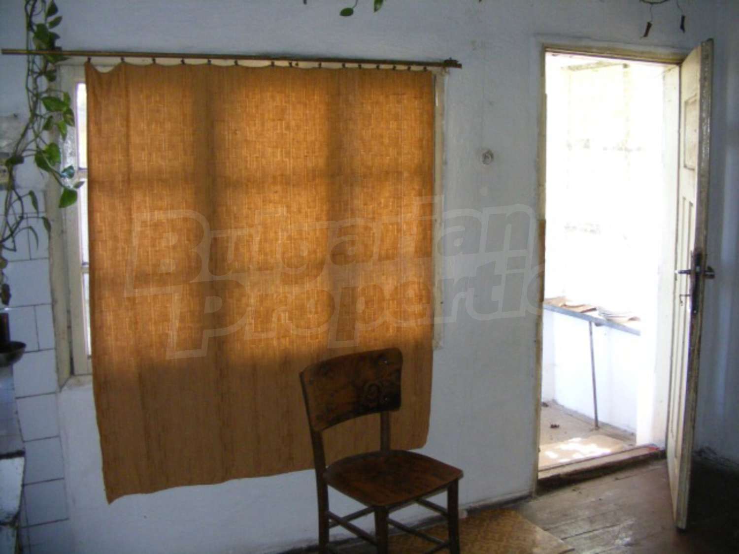 Gallery Picture 27