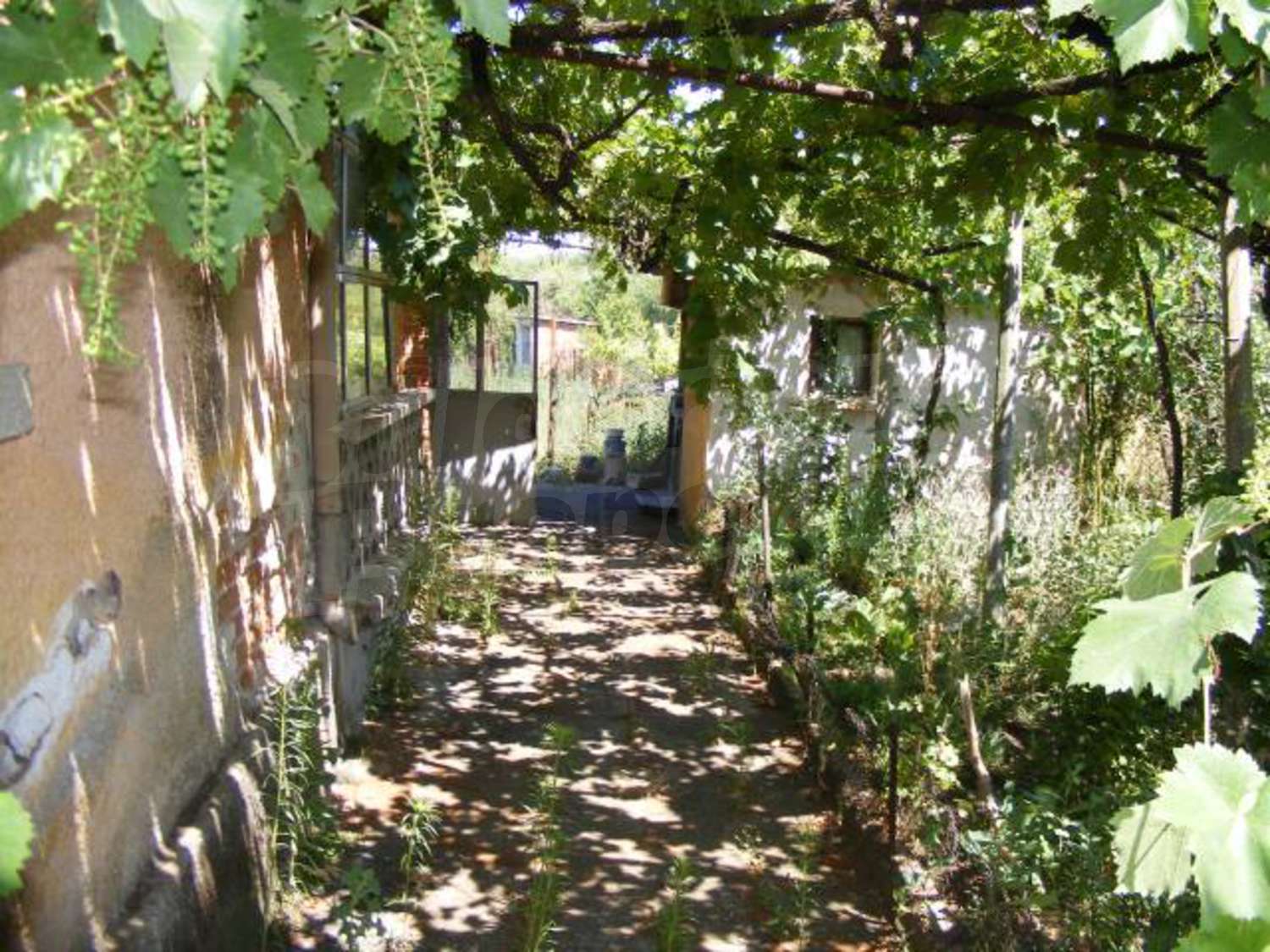 Gallery Picture 30