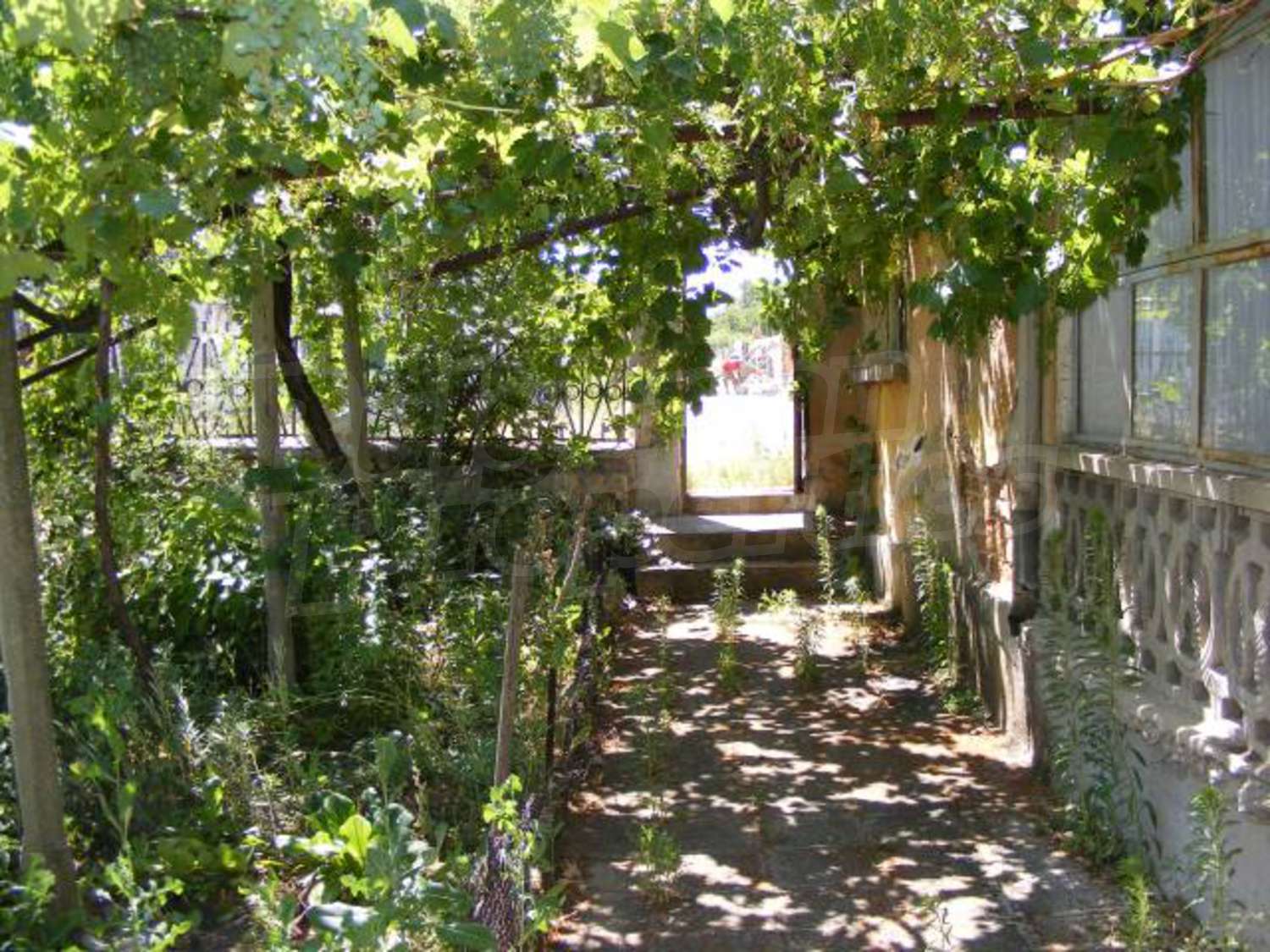 Gallery Picture 31