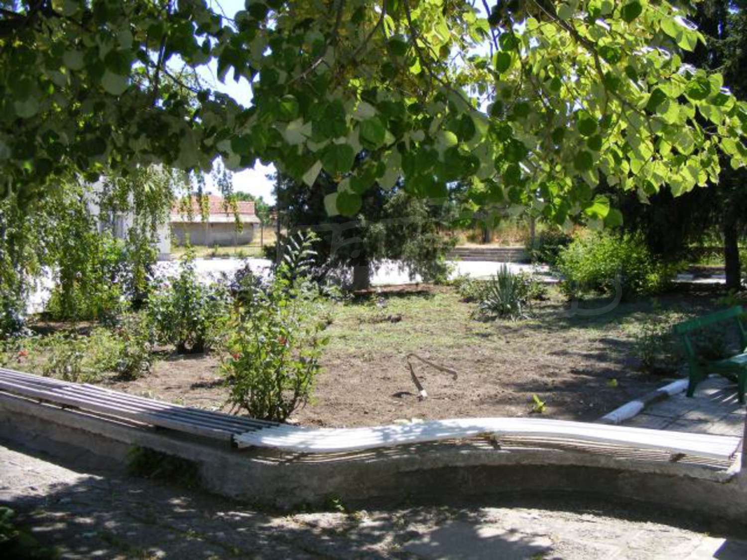 Gallery Picture 39