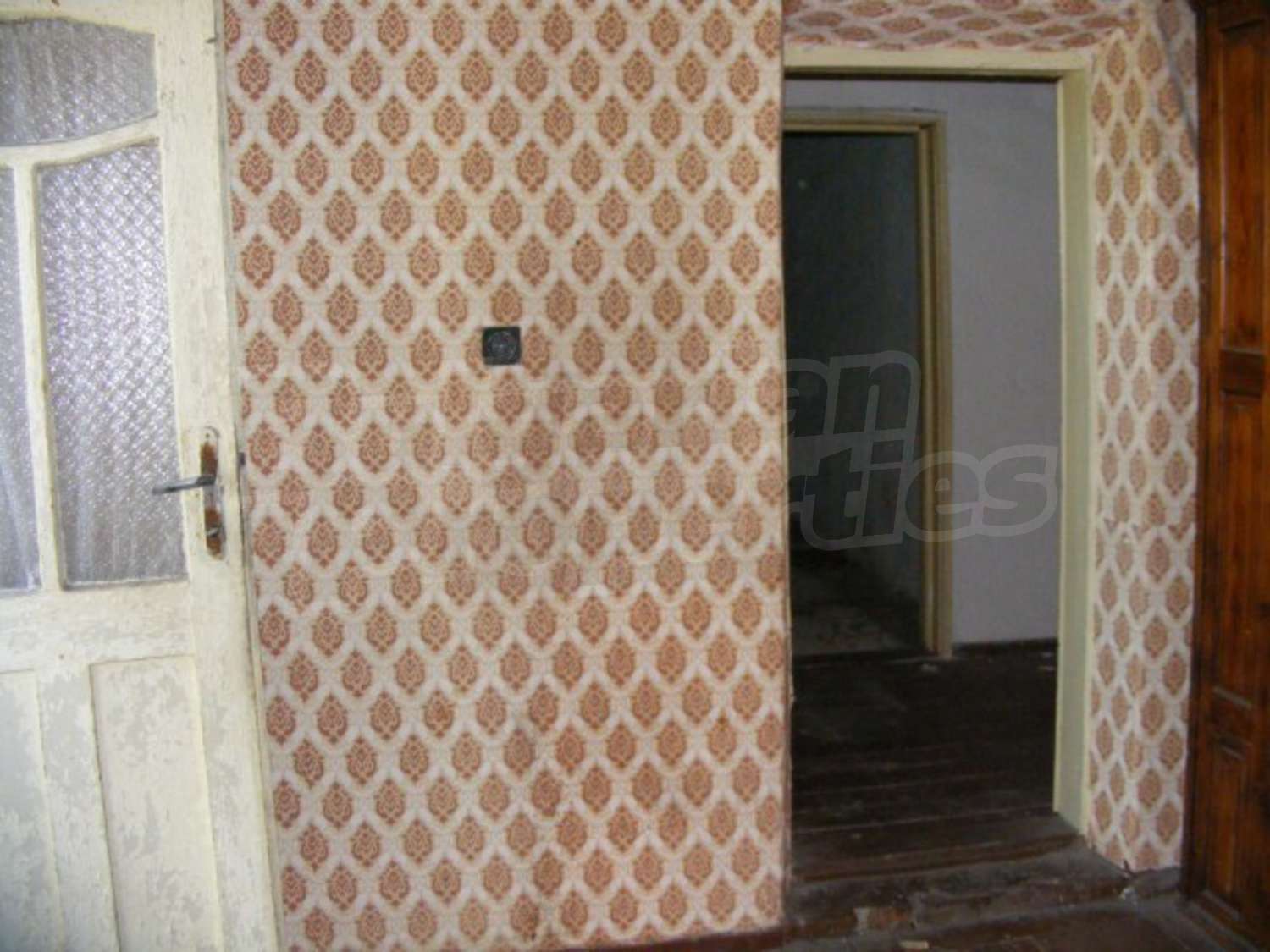 Gallery Picture 8