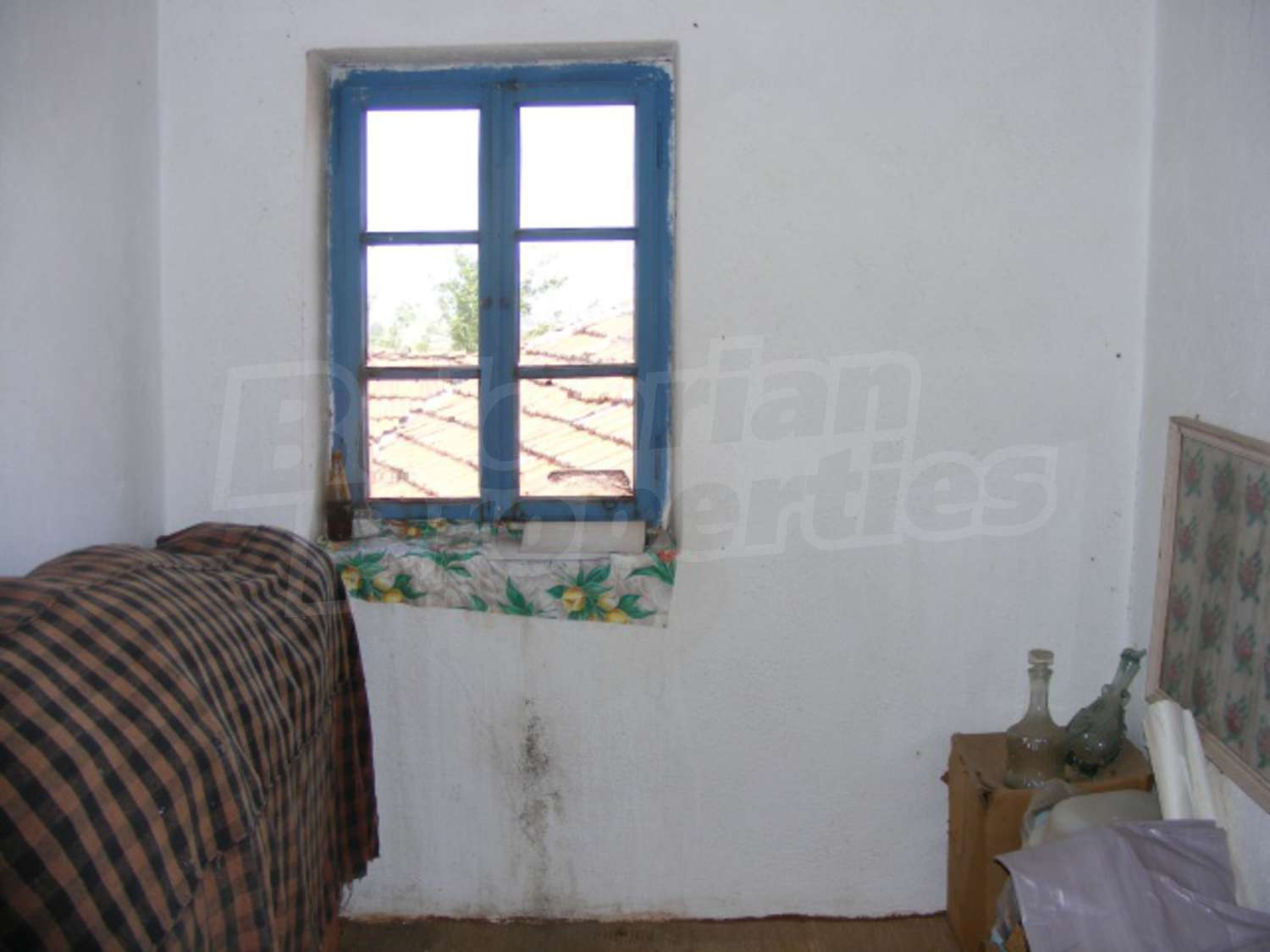Gallery Picture 17