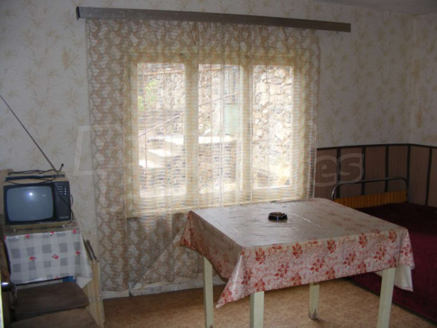 Gallery Picture 21