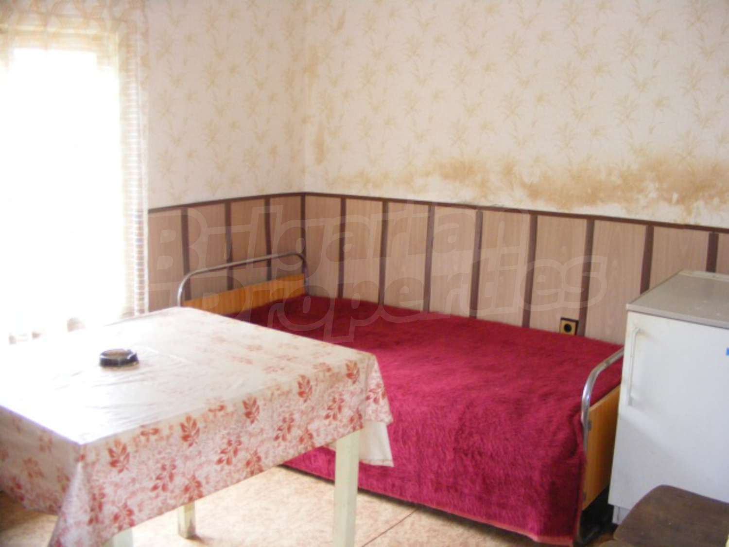 Gallery Picture 22