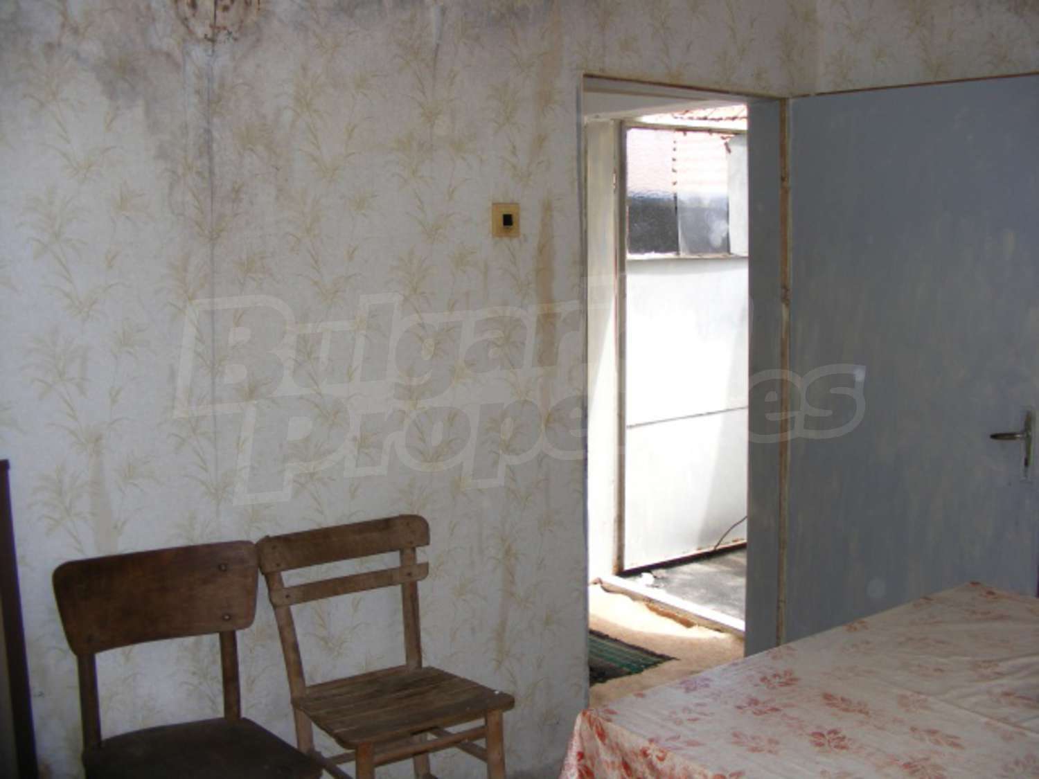 Gallery Picture 23