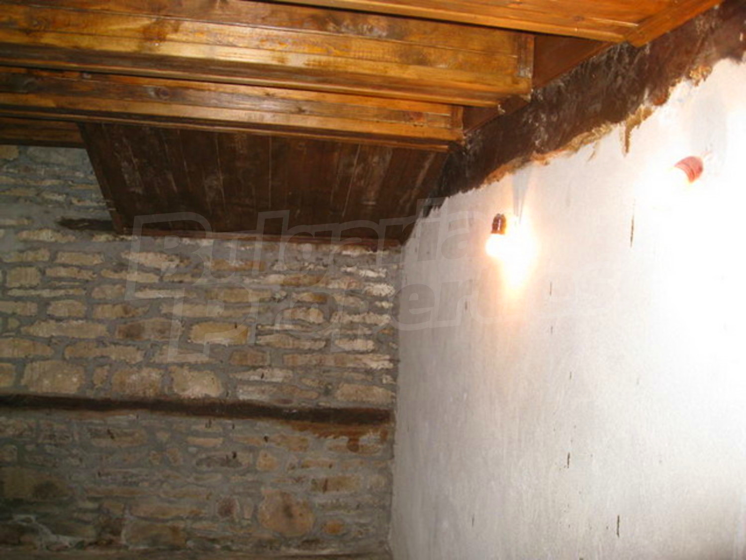 Gallery Picture 10