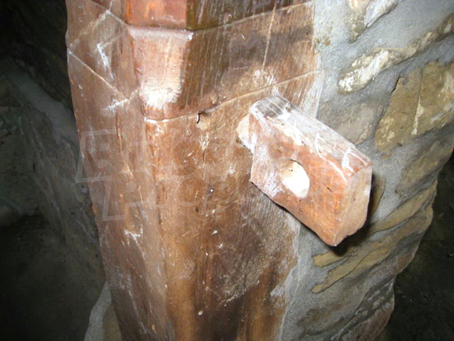 Gallery Picture 11