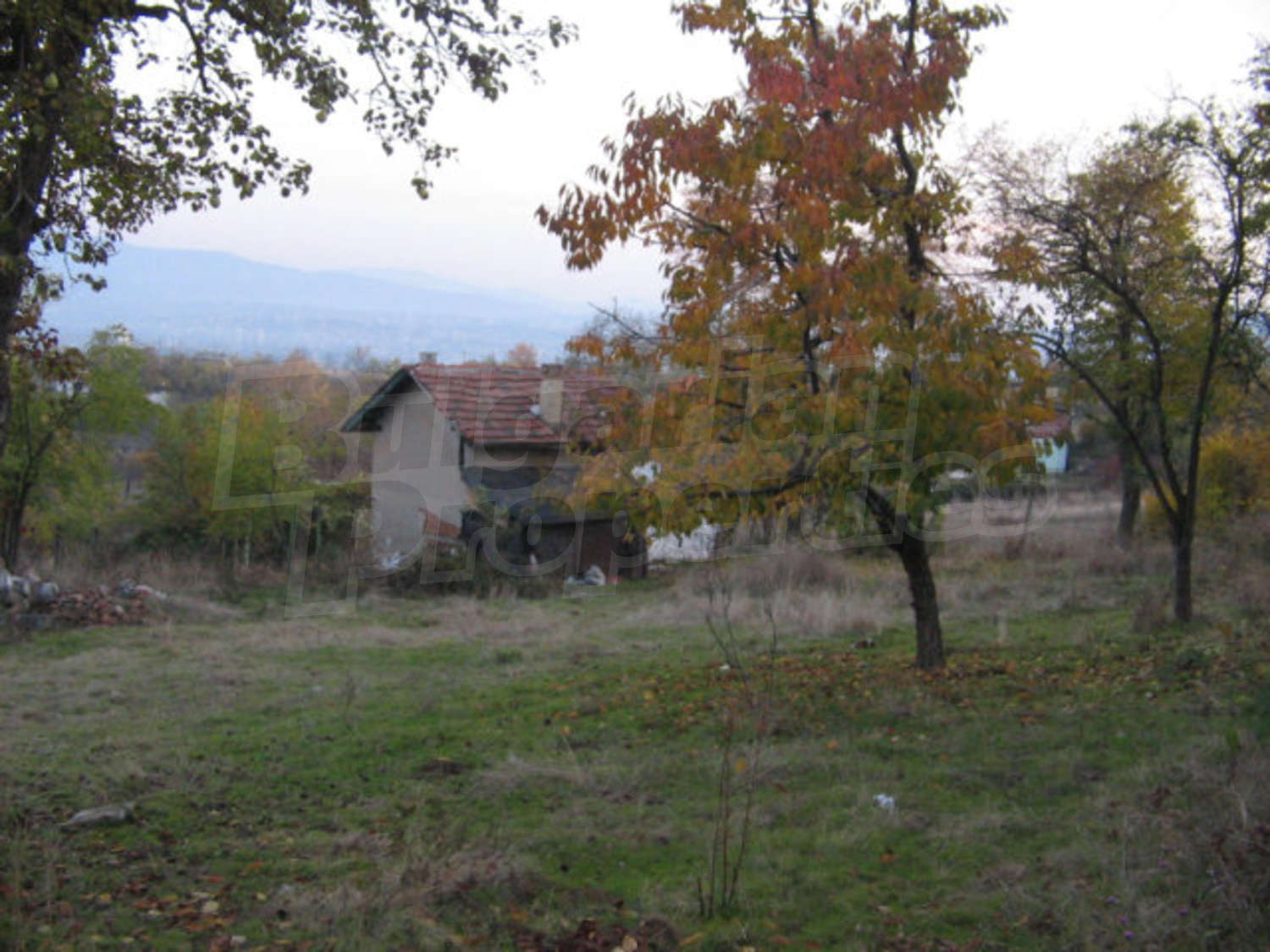 Gallery Picture 10