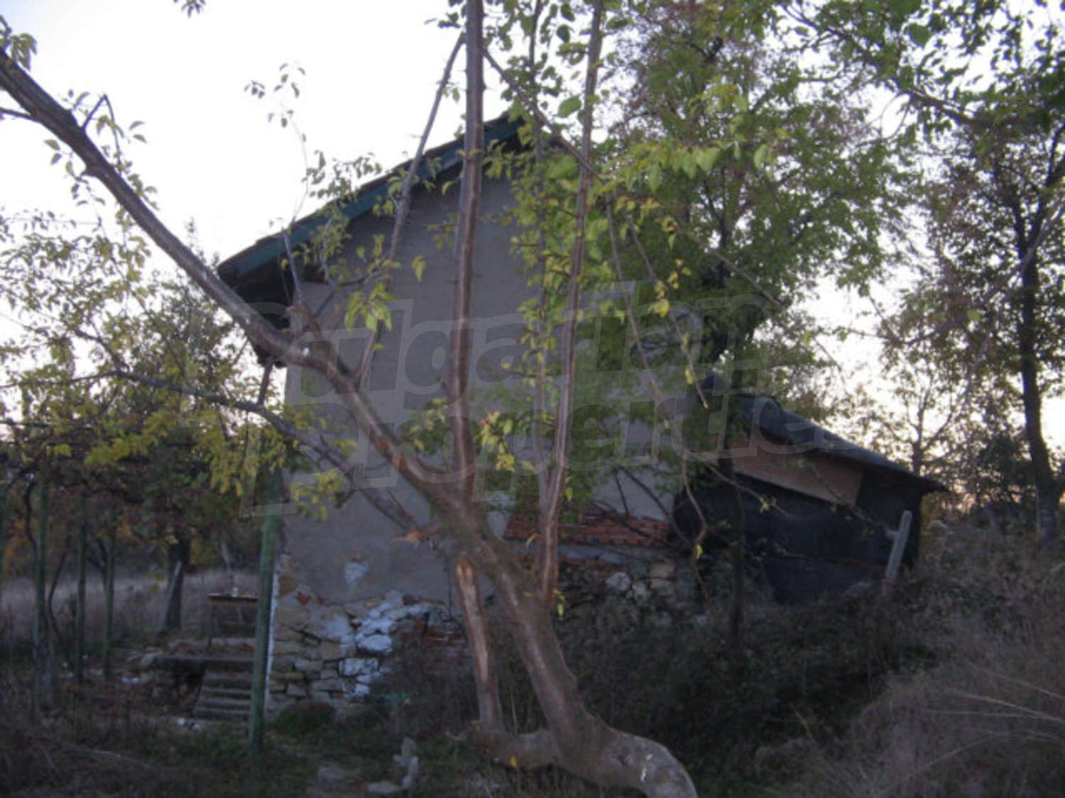 Gallery Picture 17