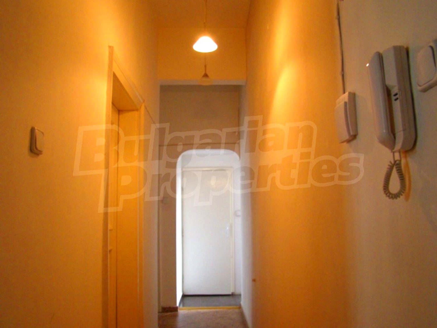 Gallery Picture 7