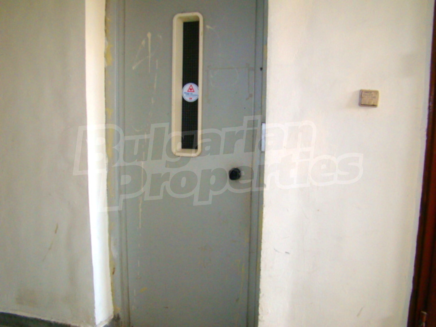 Gallery Picture 26