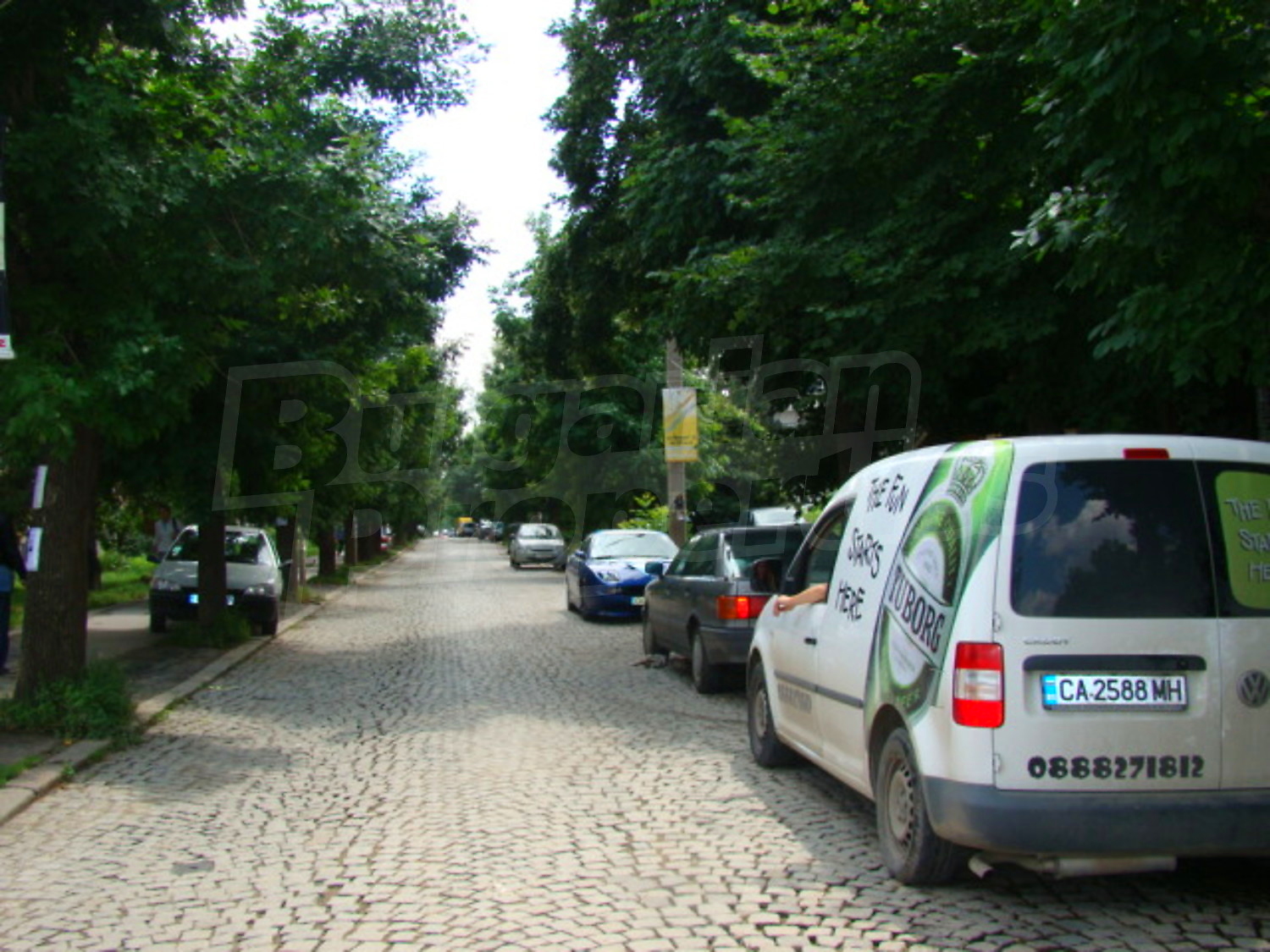 Gallery Picture 28