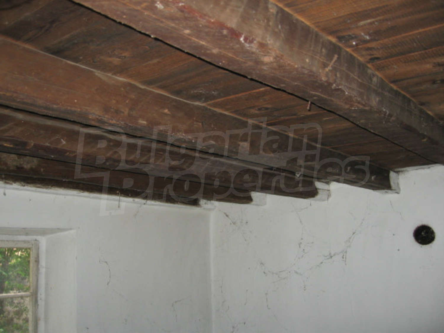 Gallery Picture 10