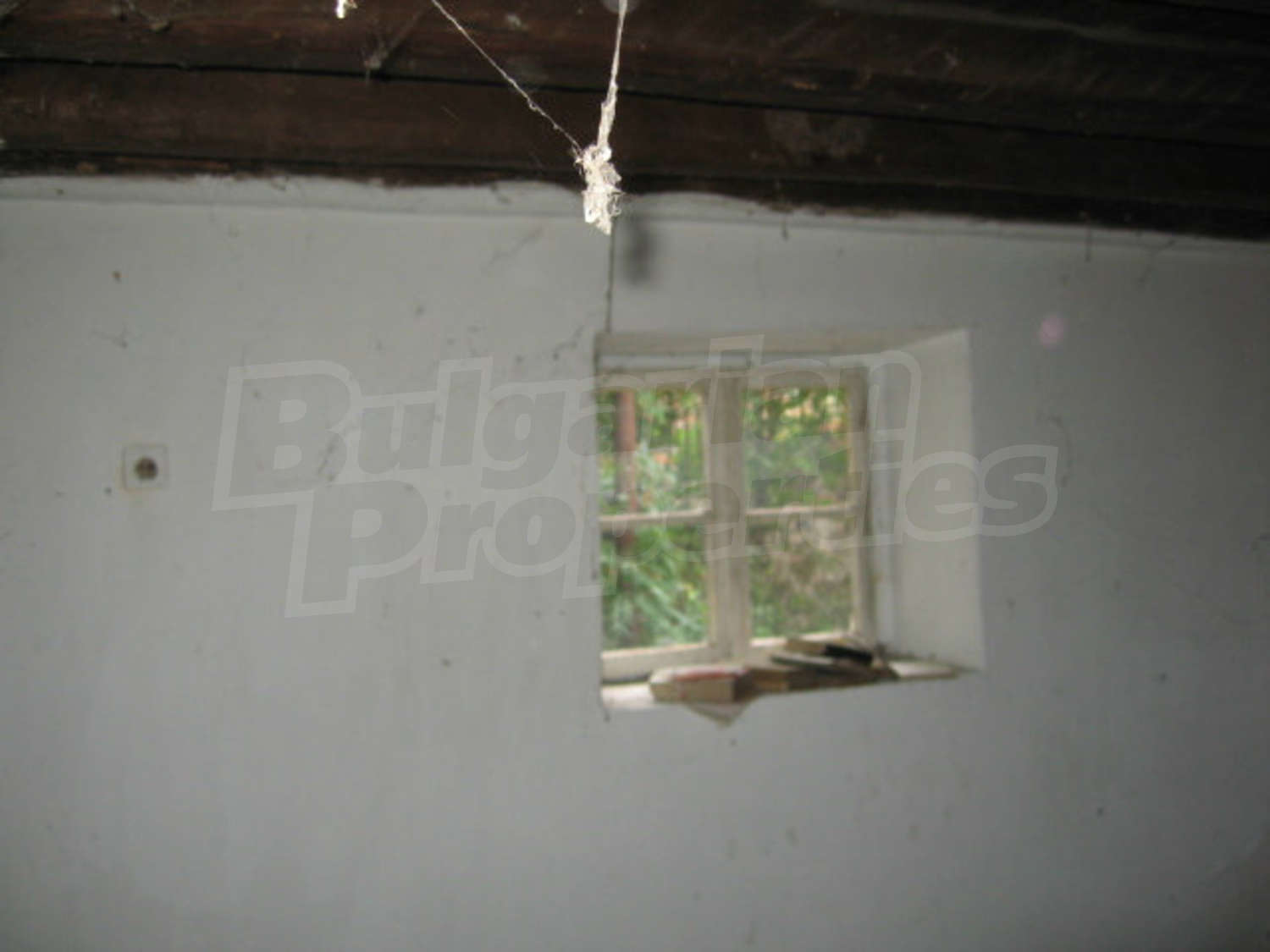 Gallery Picture 11