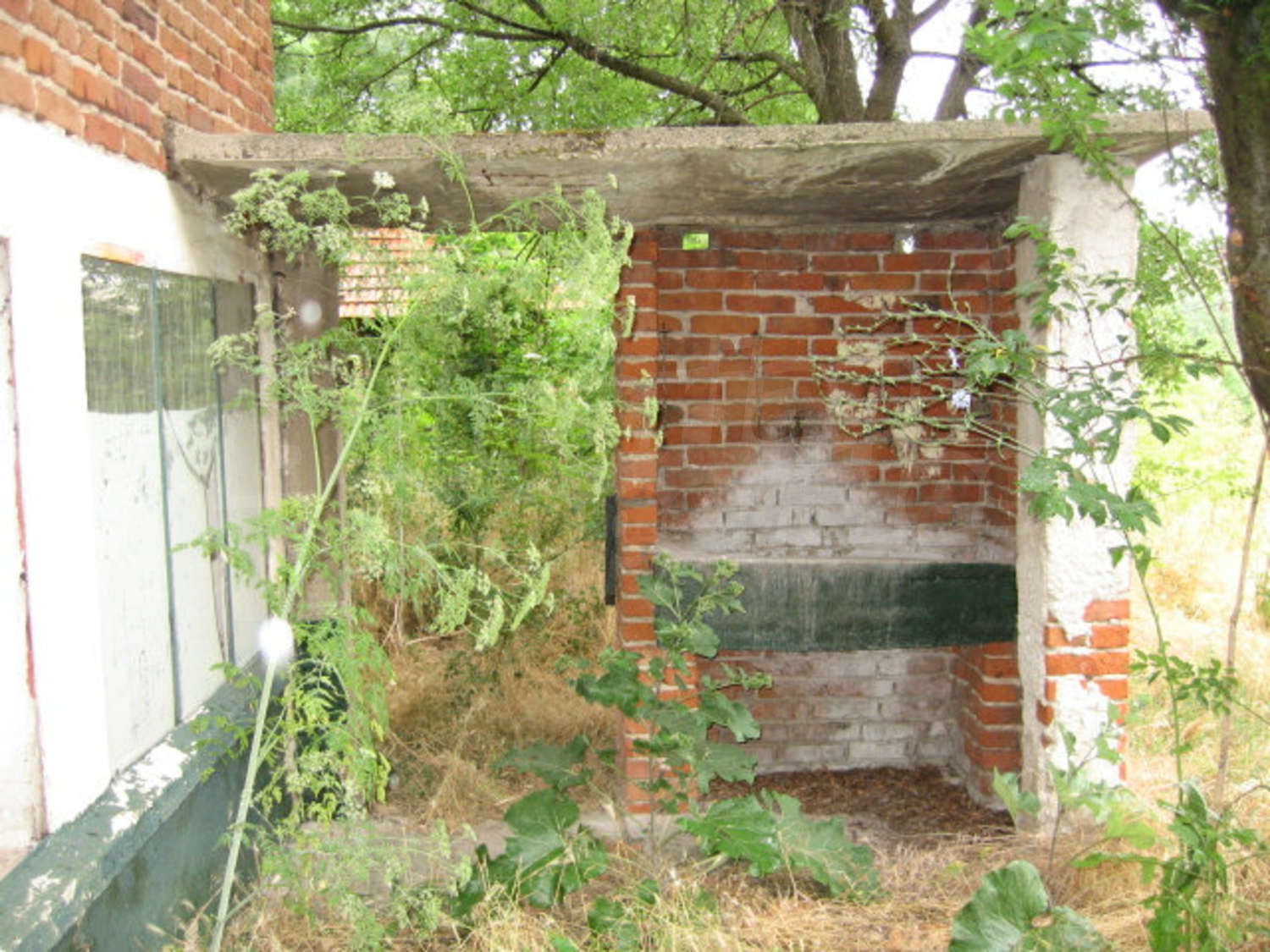 Gallery Picture 13
