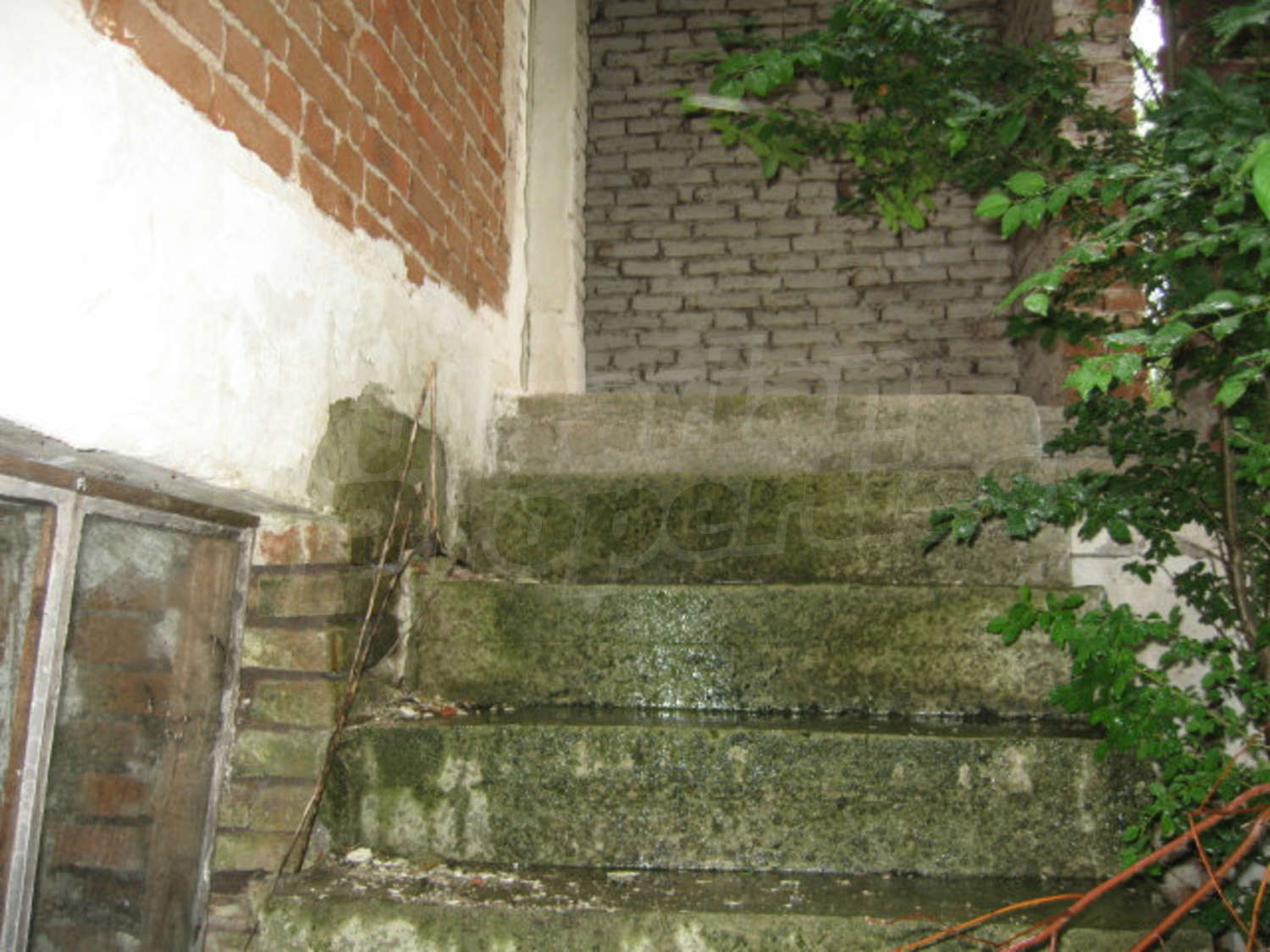 Gallery Picture 15