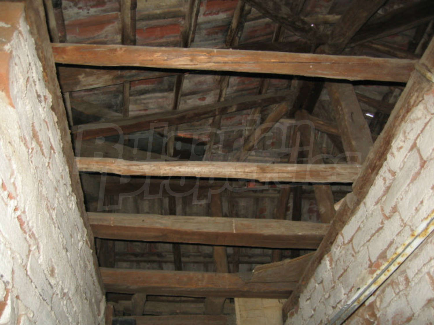 Gallery Picture 17