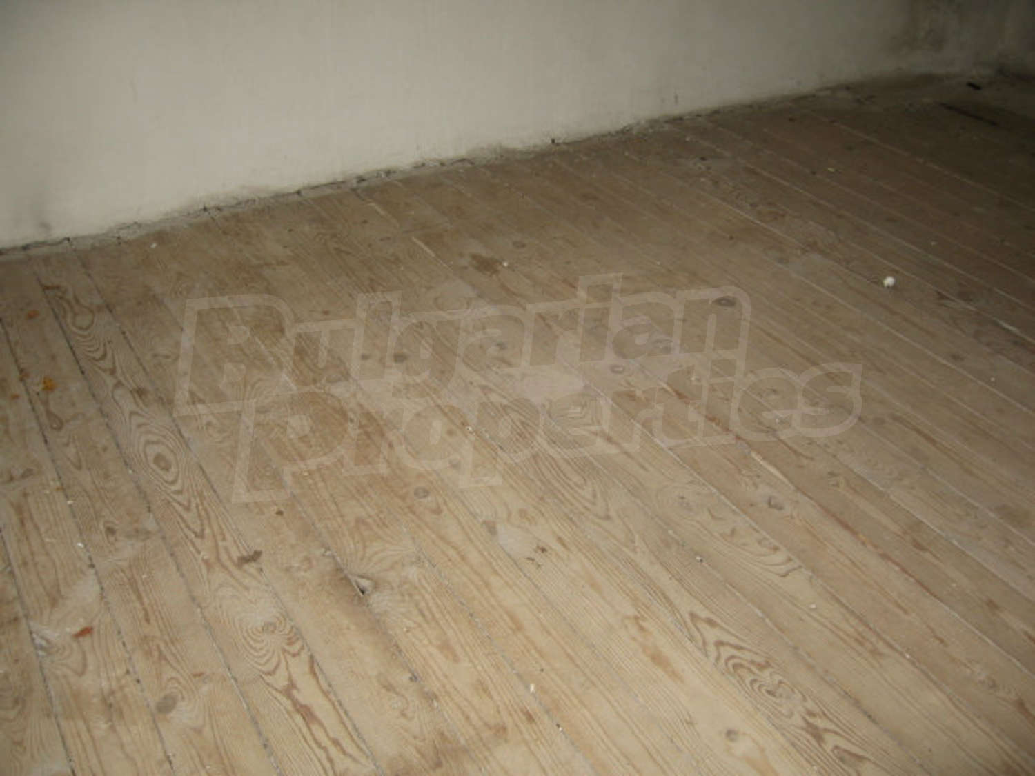 Gallery Picture 21