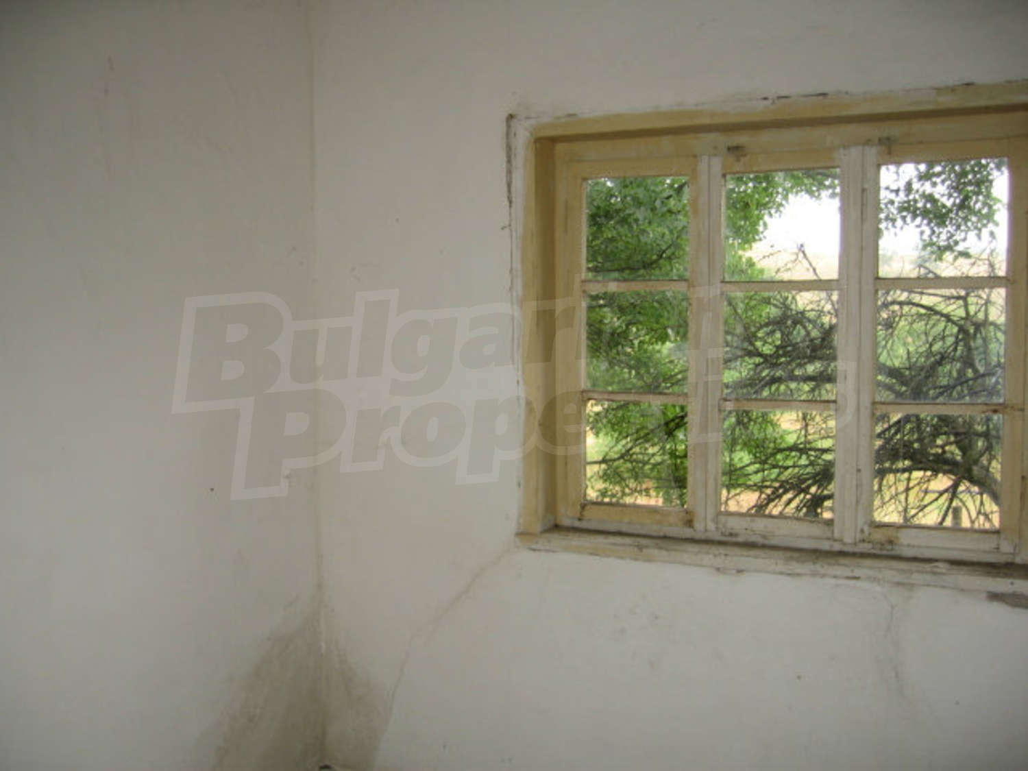 Gallery Picture 22