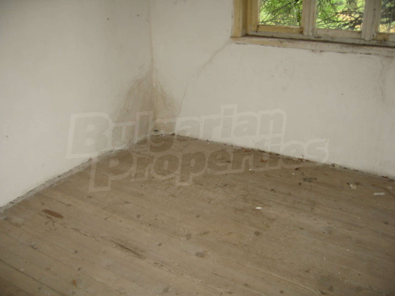 Gallery Picture 23