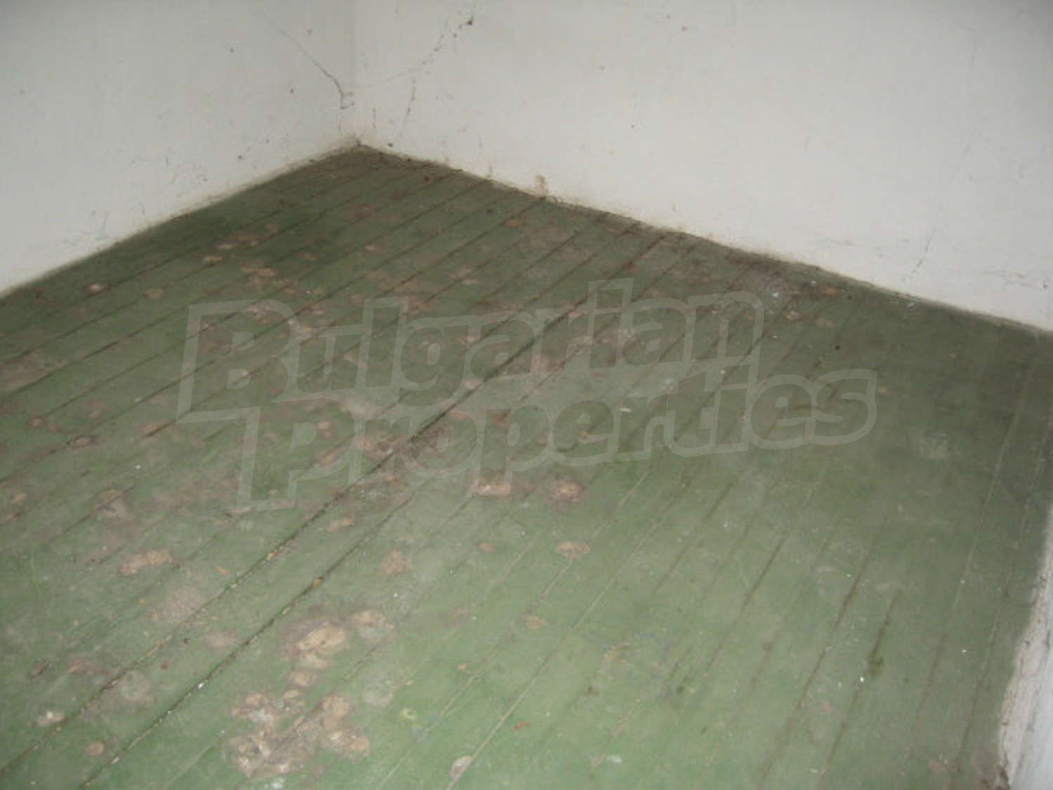 Gallery Picture 25