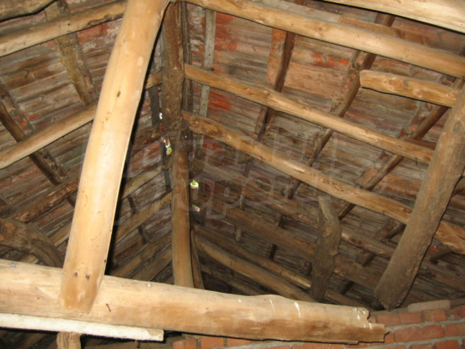 Gallery Picture 28