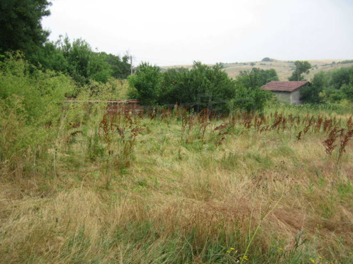 Gallery Picture 29