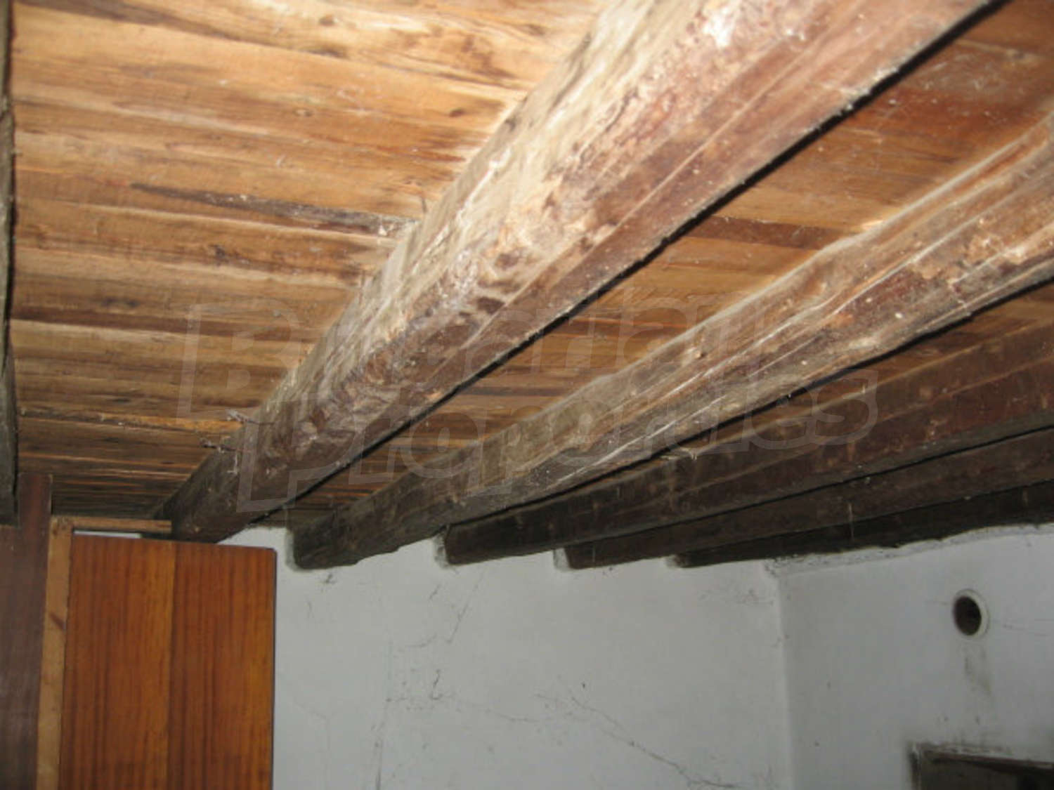 Gallery Picture 8