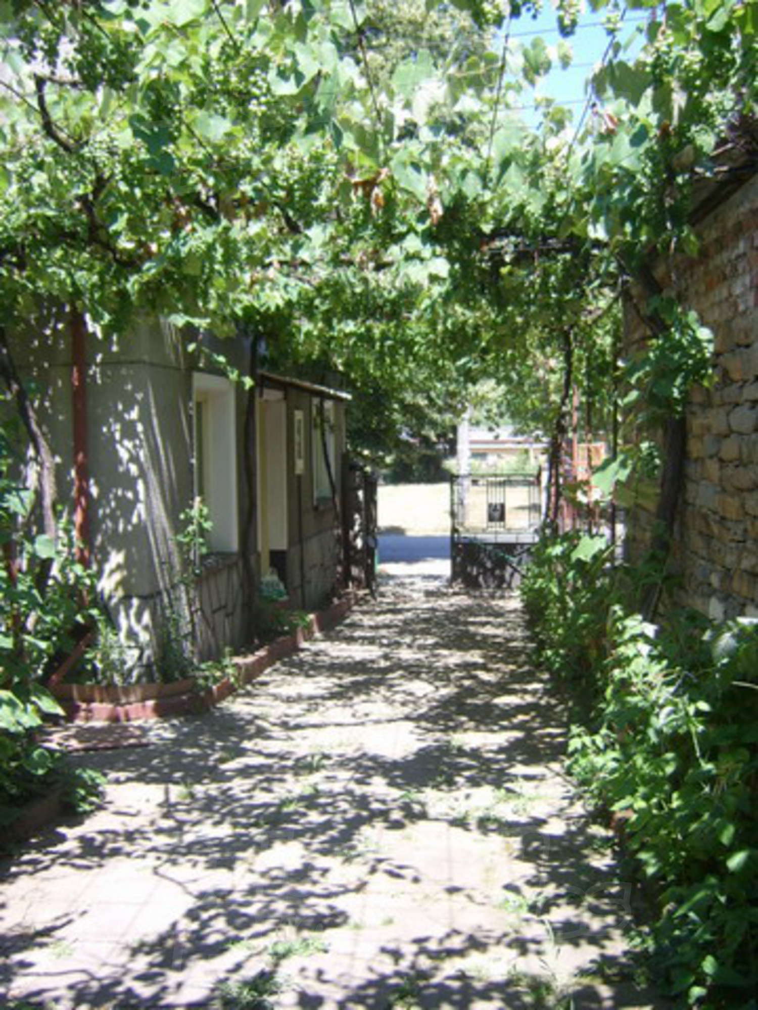 Gallery Picture 11