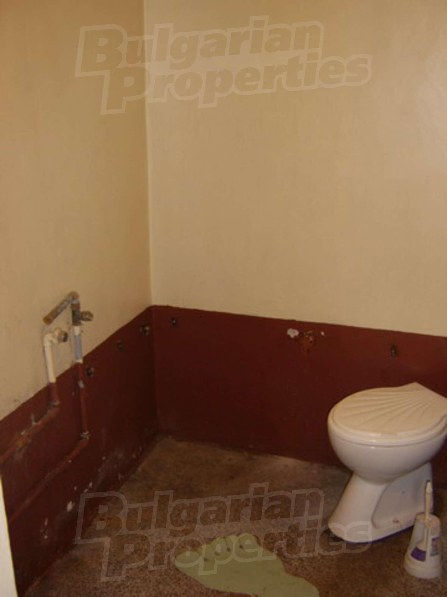 Gallery Picture 5