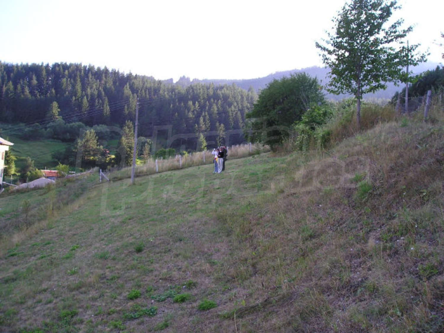 Gallery Picture 5
