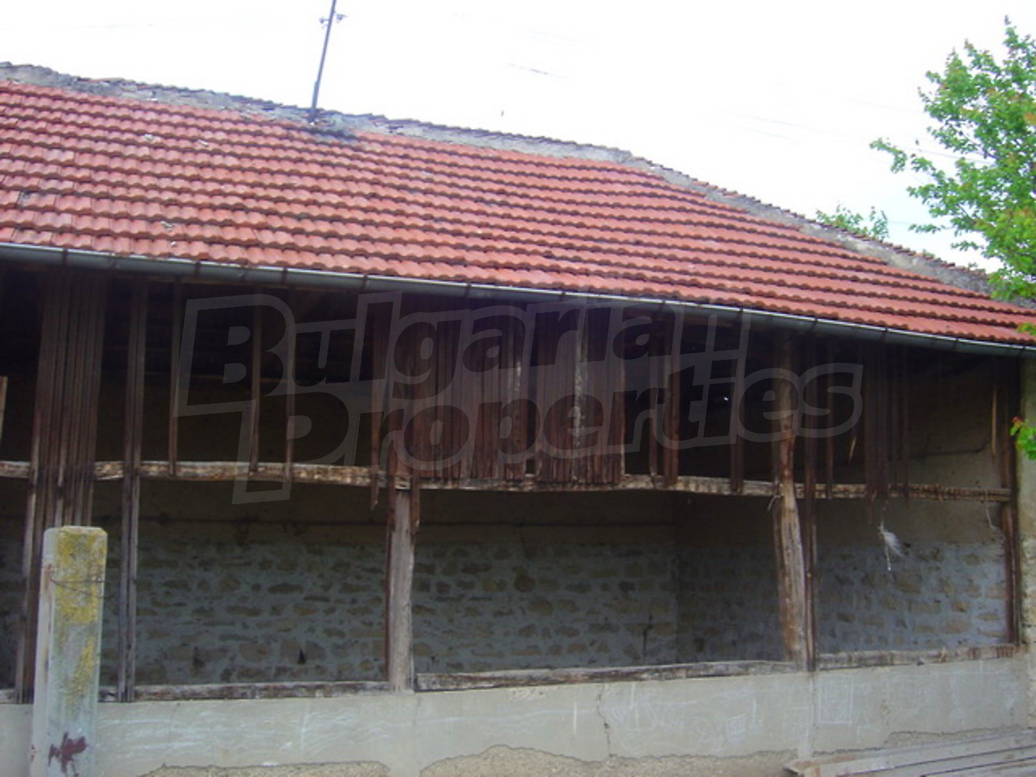 Gallery Picture 10
