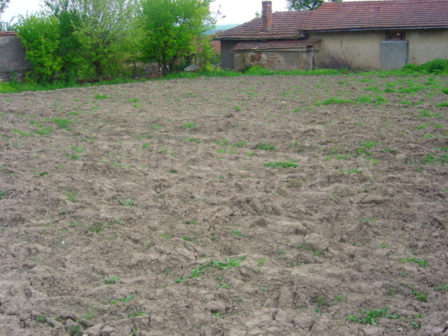 Gallery Picture 11