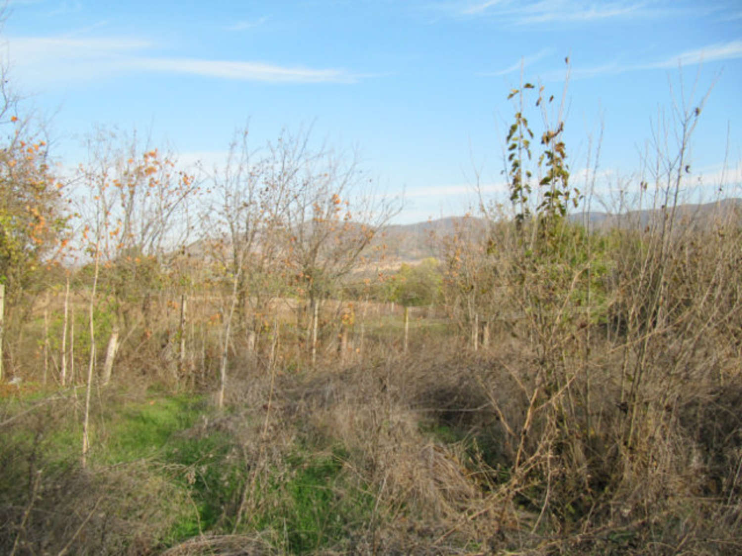 Gallery Picture 11