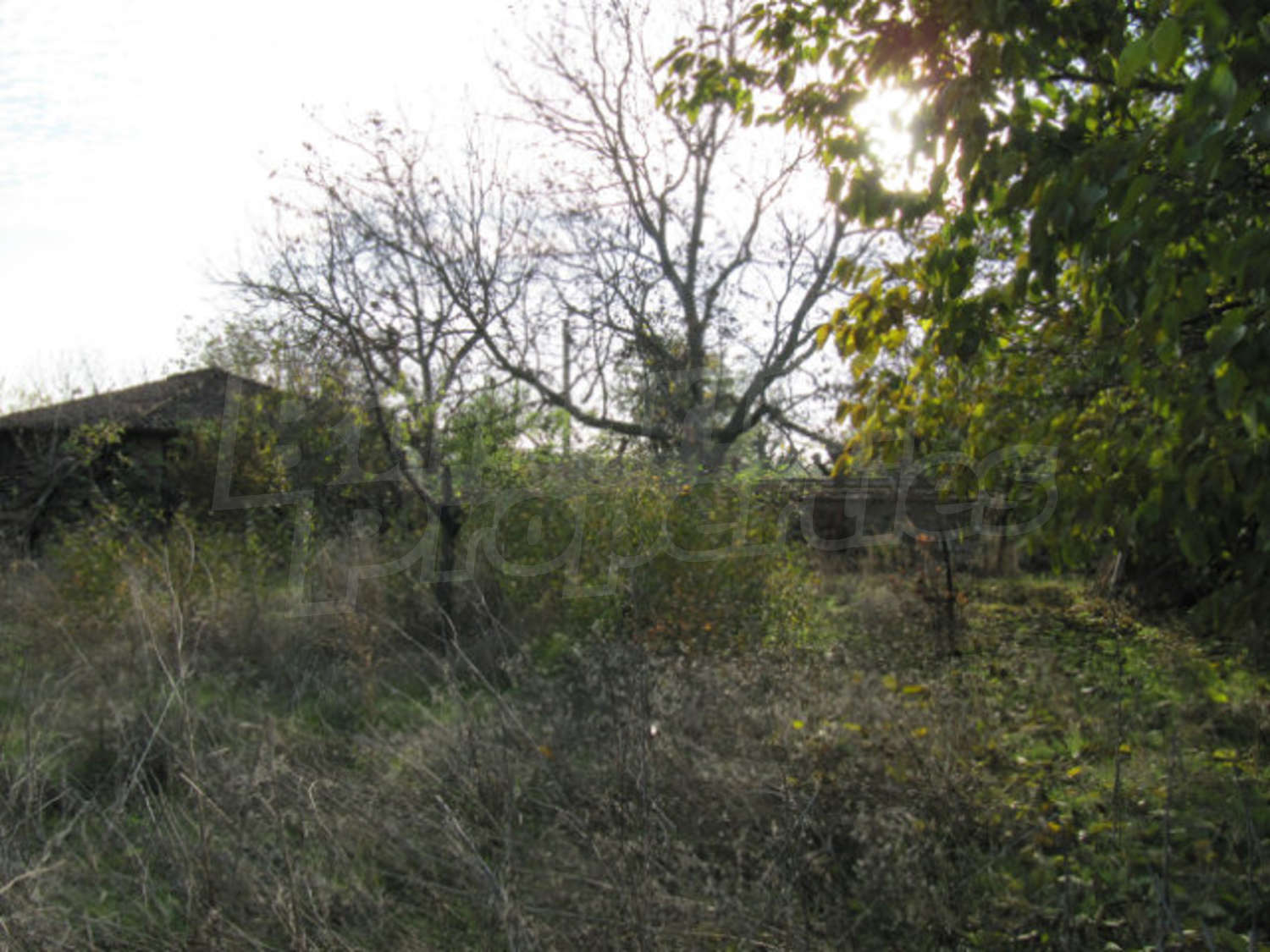 Gallery Picture 12