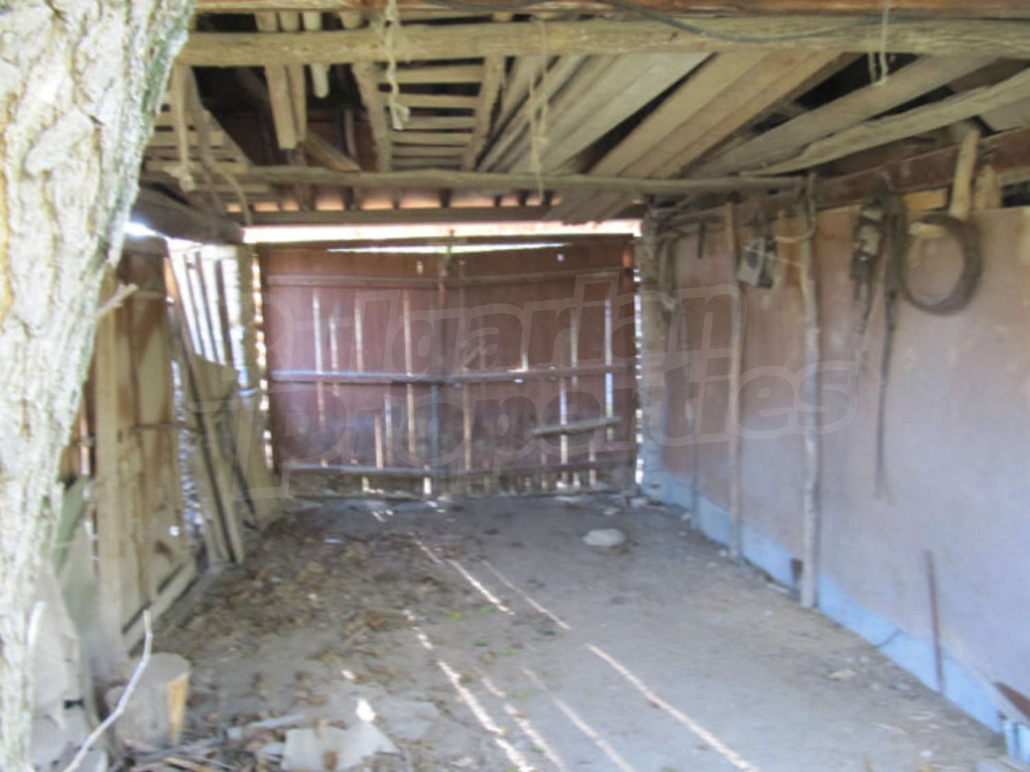 Gallery Picture 17