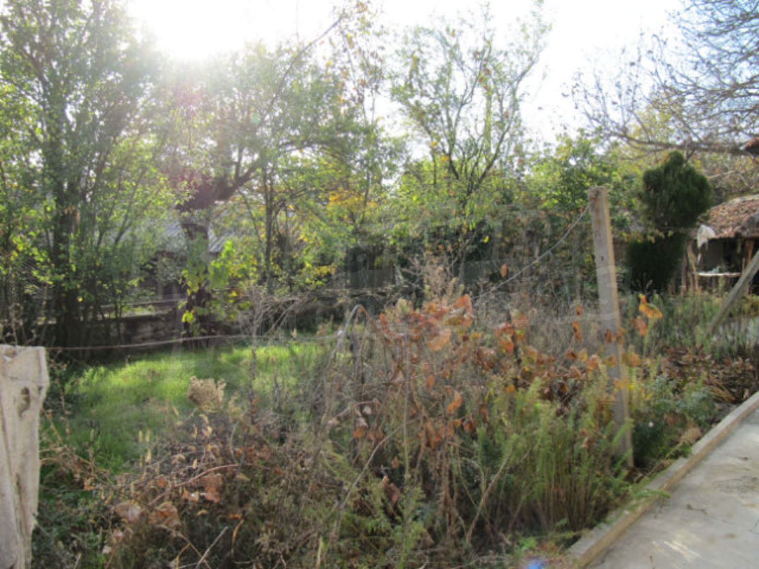Gallery Picture 18