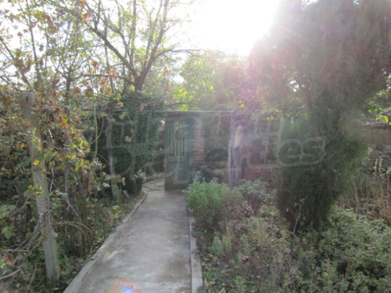 Gallery Picture 19
