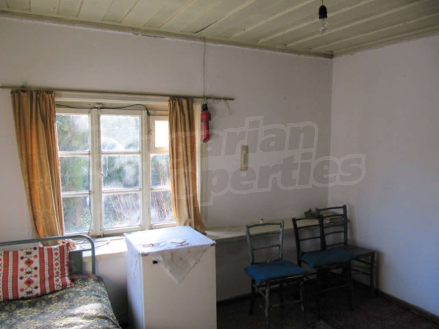 Gallery Picture 27