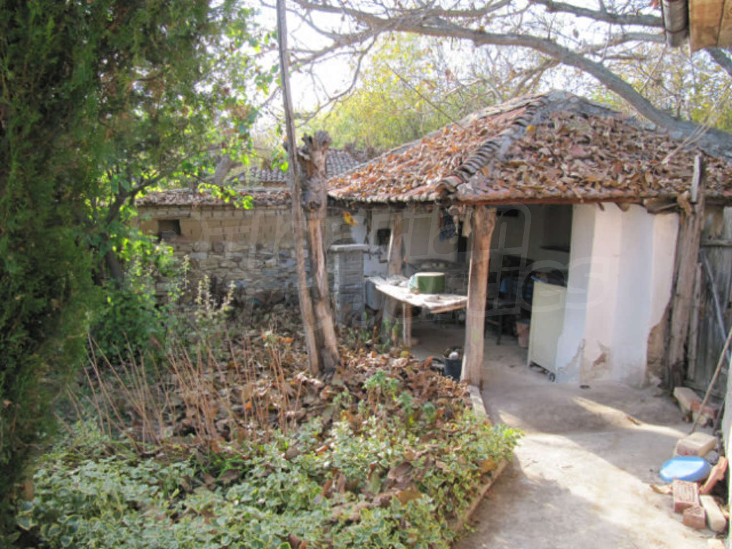 Gallery Picture 6