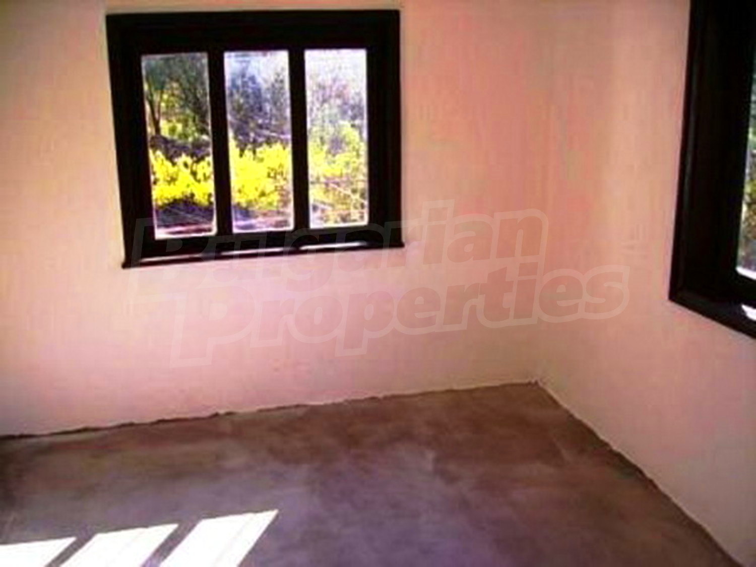 Gallery Picture 12