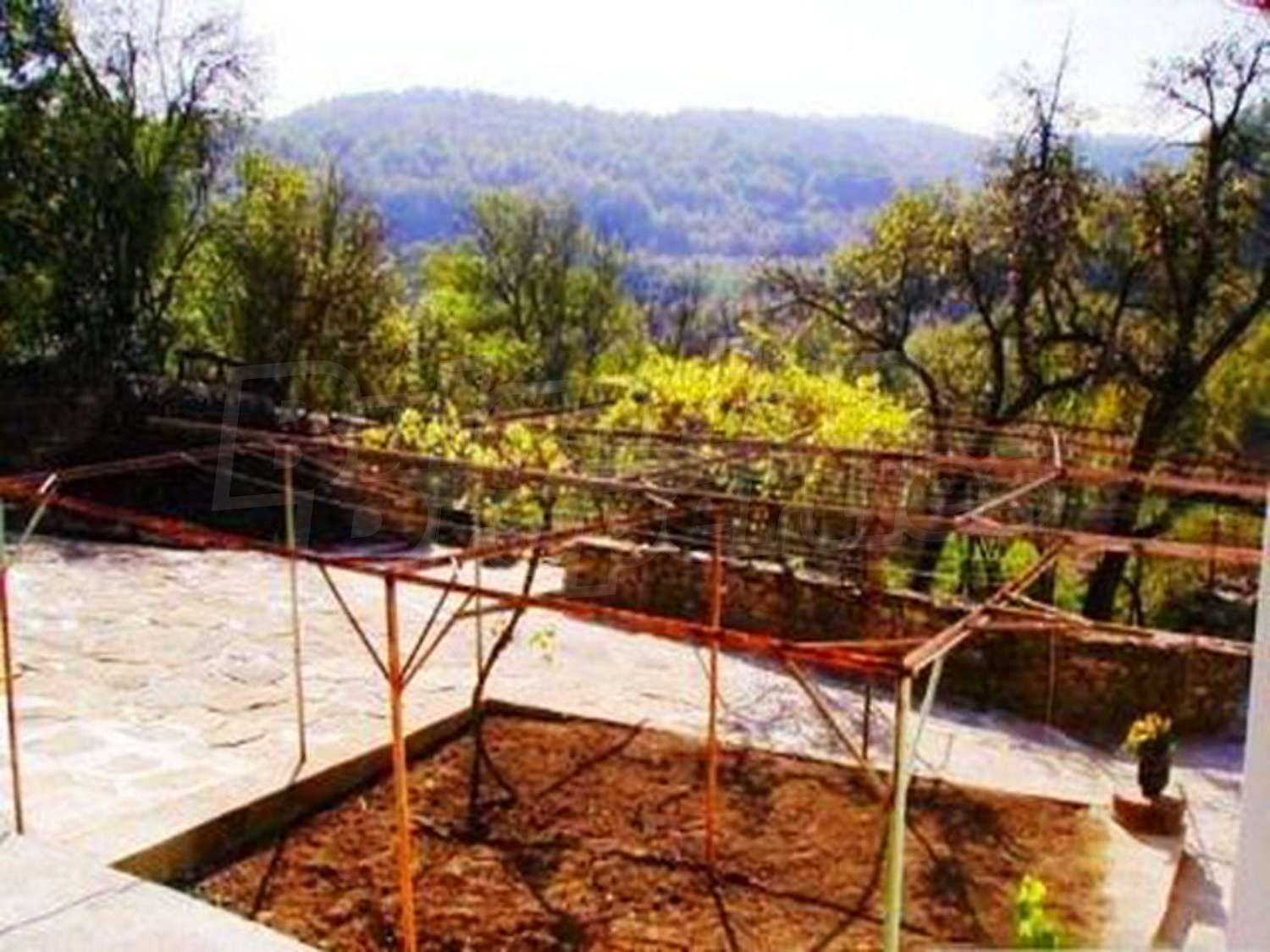 Gallery Picture 6