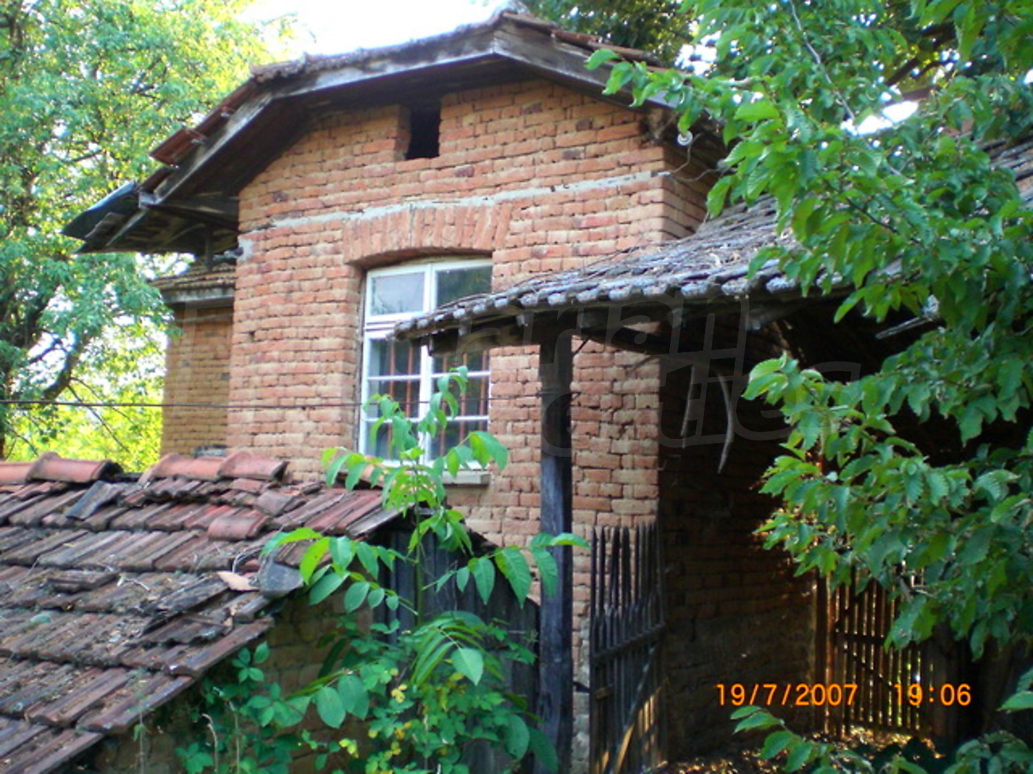 Gallery Picture 11