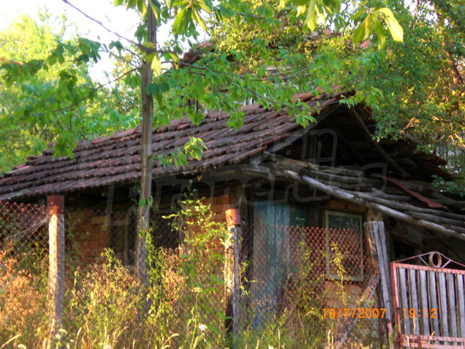 Gallery Picture 13