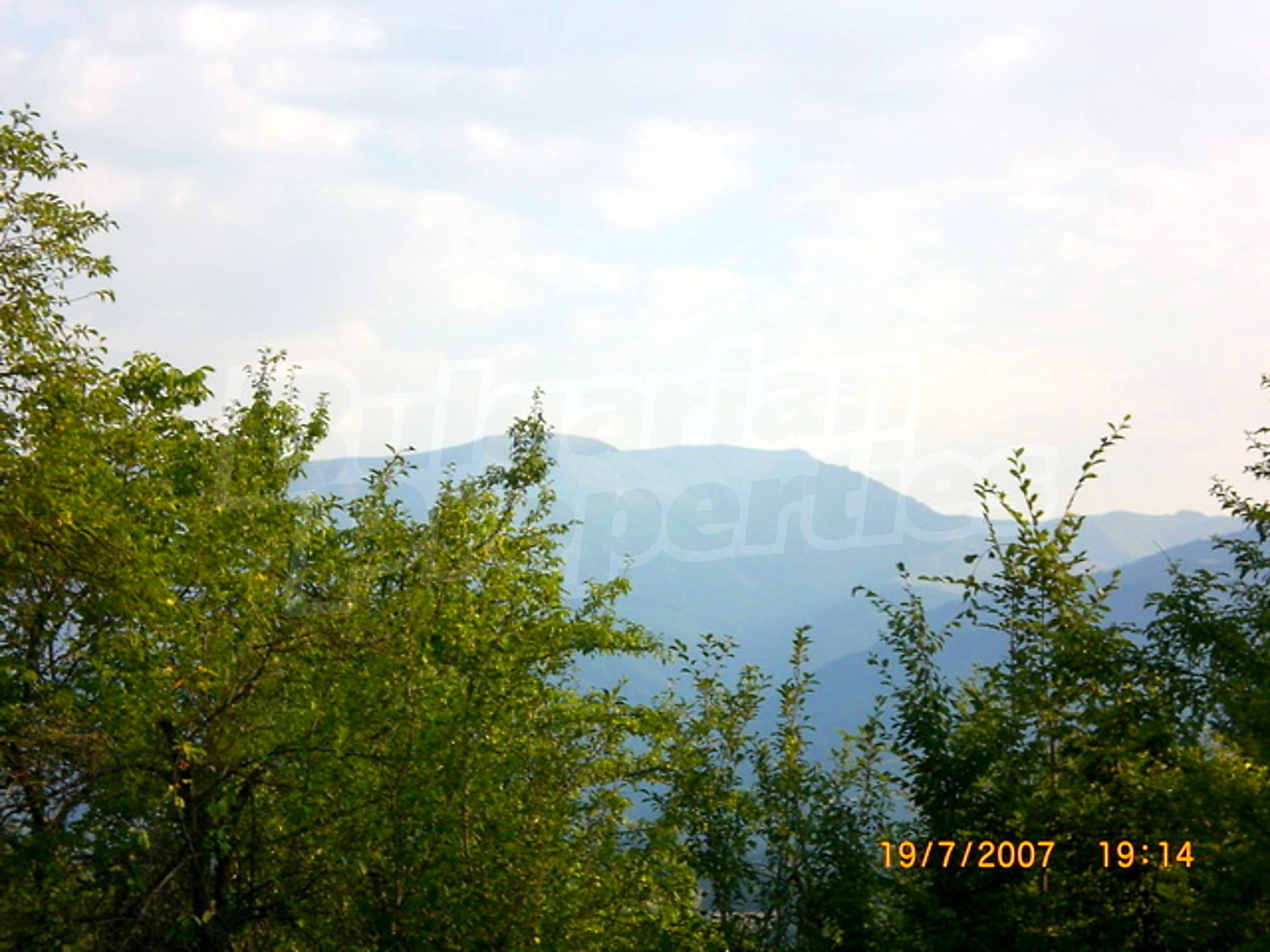 Gallery Picture 14