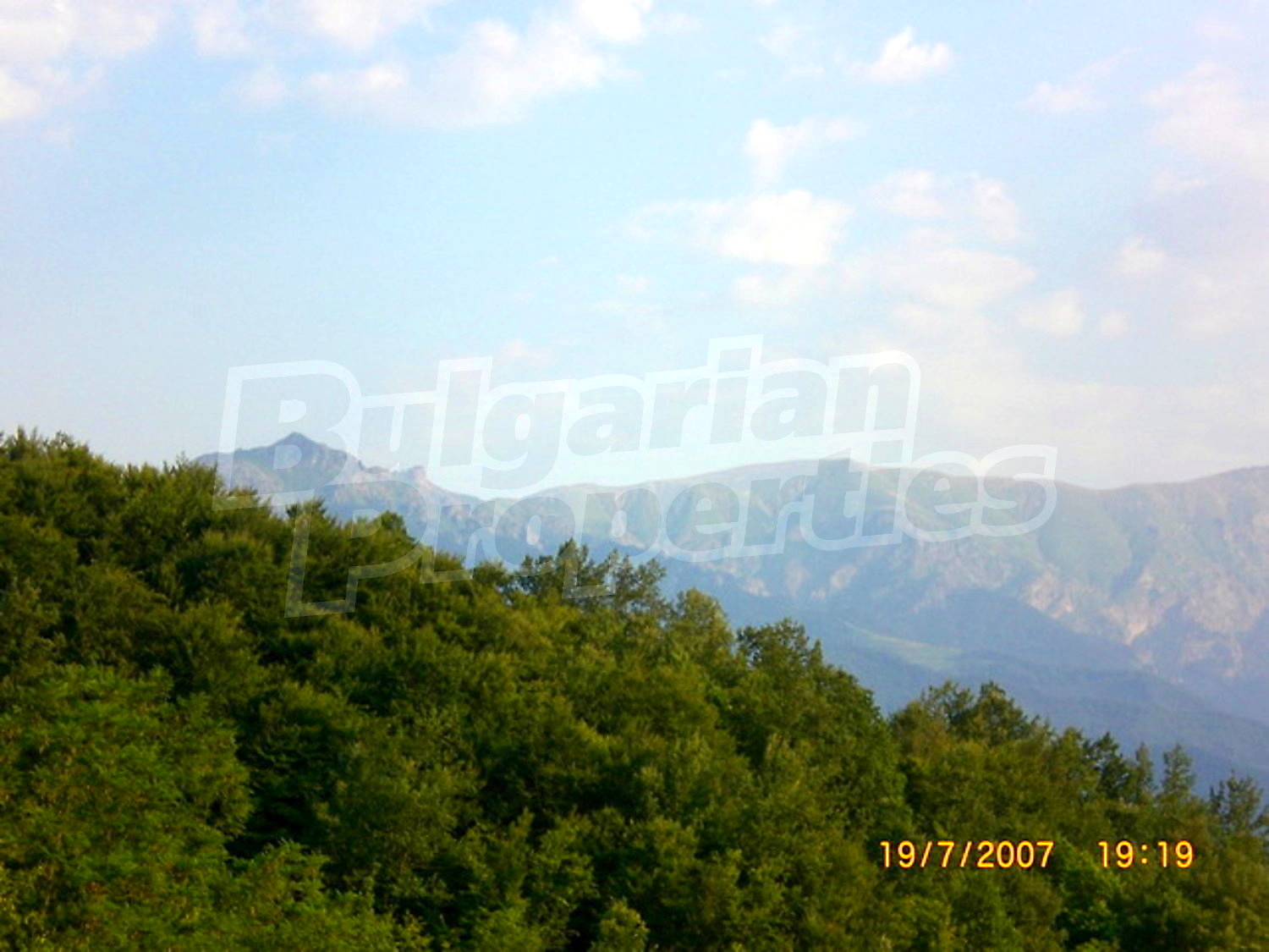Gallery Picture 16