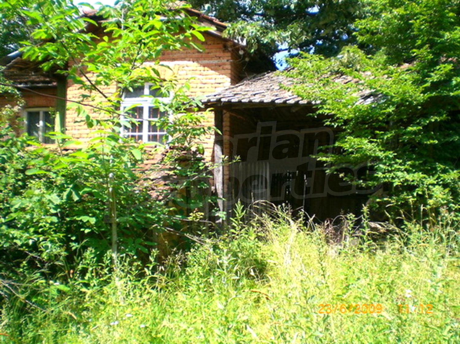 Gallery Picture 9