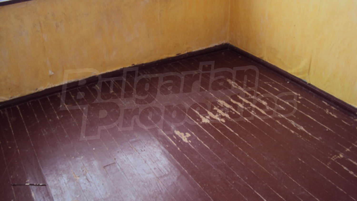 Gallery Picture 11