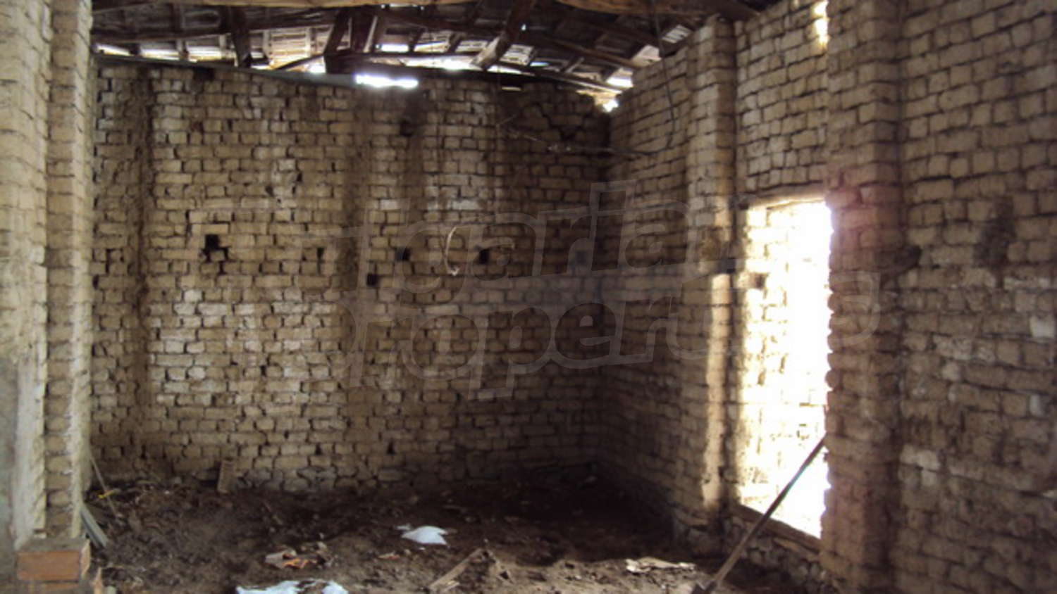 Gallery Picture 30